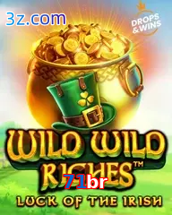 71br slot wild wild riches